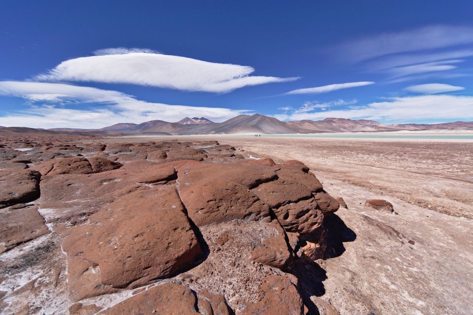 Piedras Rojas, Altiplanic Lagoons & Salar Full-Day Tour - Tour Highlights and Itinerary