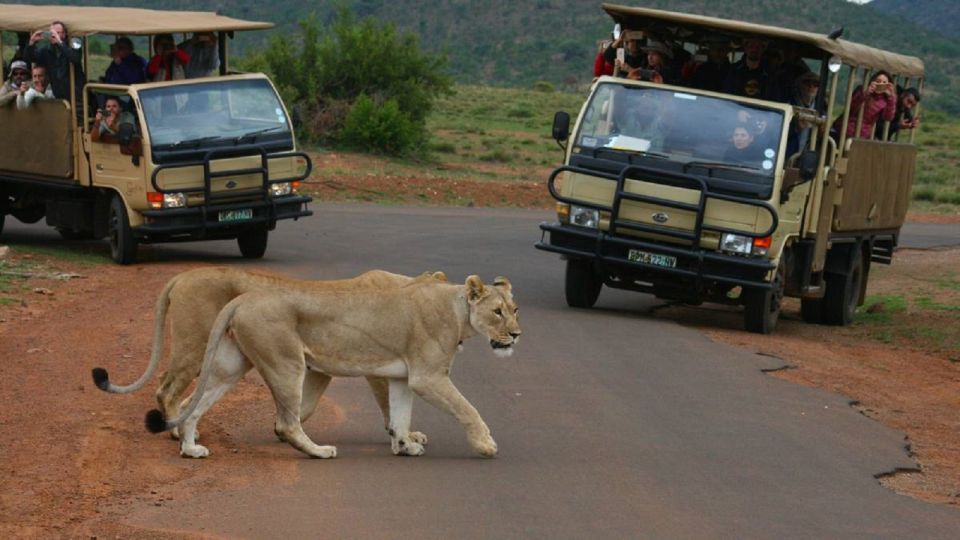 Pilanesberg Full-Day Shared Safari With Sun City Visit - Safari Experience Details