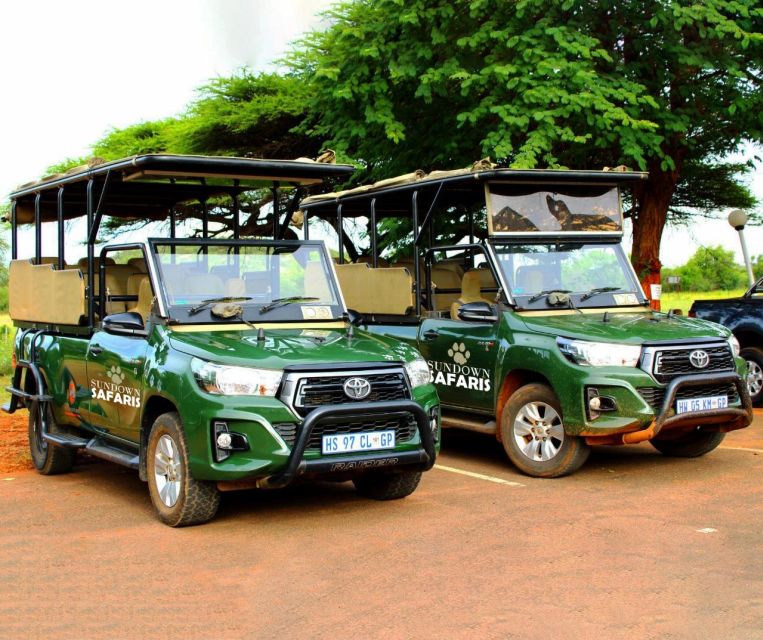 Pilanesberg Morning or Afternoon 3 Hour Game Drive - Wildlife Encounters and Sightings