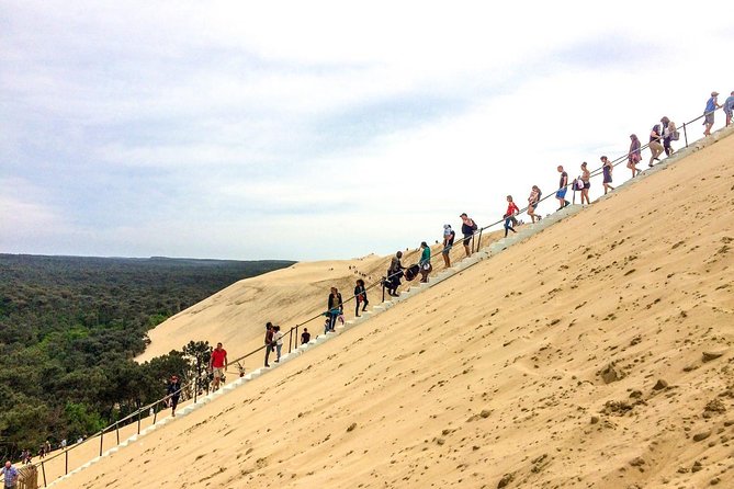 Pilat Sand Dune and Arcachon Oyster Tasting Tour From Bordeaux - Customer Reviews