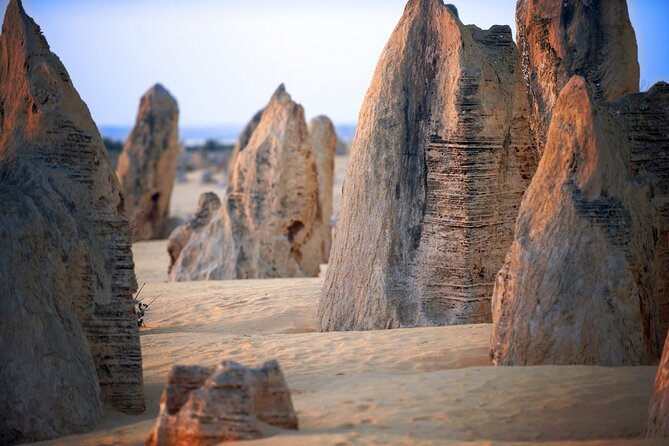 Pinnacles Desert, Yanchep and Swan Valley With Lunch - Lunch Details