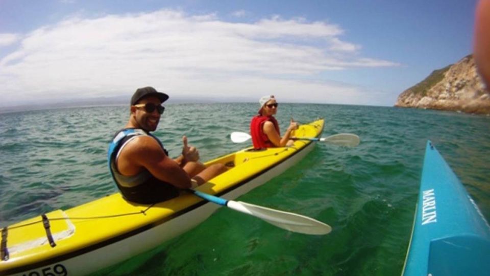 Plettenberg Bay: Guided Sea Kayak Tour - Experience Highlights and Wildlife Viewing