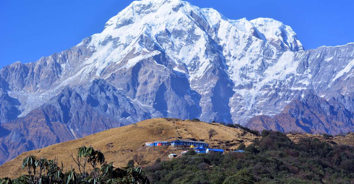Pokhara: 3-Day Mardi Himal Private Himalayas Trek - Trek Highlights