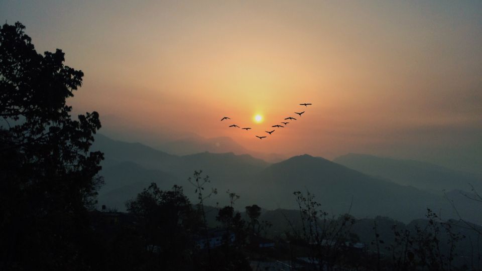 Pokhara: Group Joining Sarangkot Sunrise Himalayas Tour - Experience Itinerary