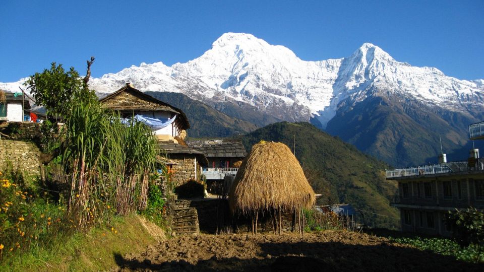 Pokhara: Guided Day Hike From Dampus To Australian Base Camp - Panoramic Views of Annapurna and Manaslu