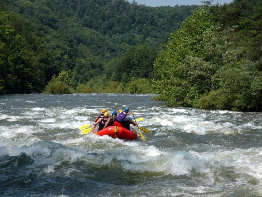 Pokhara: Seti Whitewater Guided Half Day Rafting Adventure - Activity Details