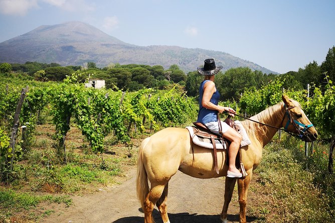 Pompeii Guided Tour & Horse Riding on Vesuvius With Wine Tasting - Logistics and Pricing