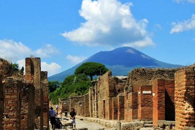 Pompeii, Mt Vesuvius and Wine Tour - Traveler Feedback and Ratings