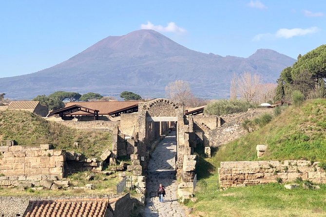 Pompeii Private Guided Tour Skip the Line - Inclusions and Pricing