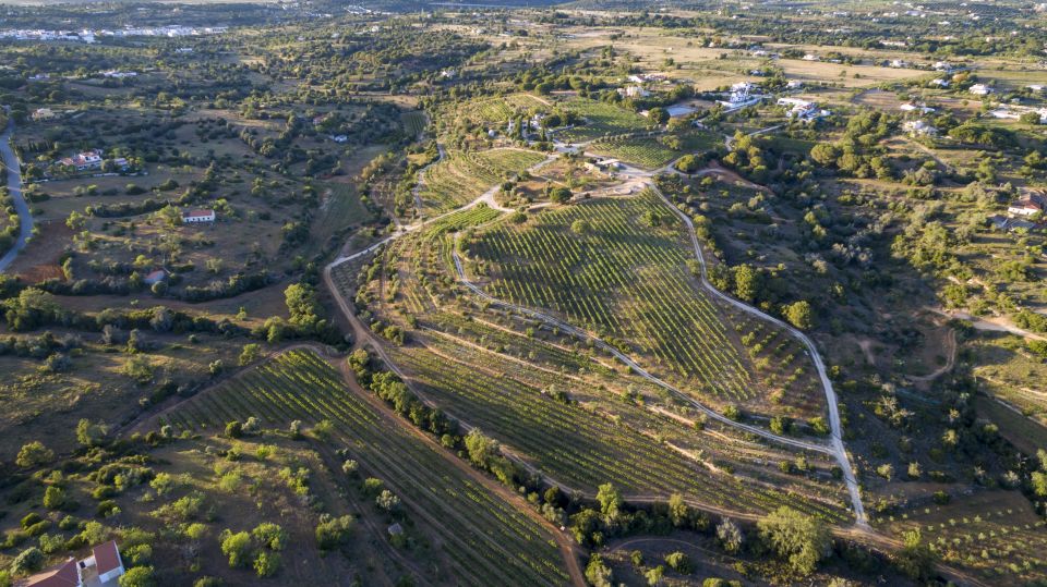 Porches: Algarve Vineyard Tour and Wine Tasting Experience - Booking Information