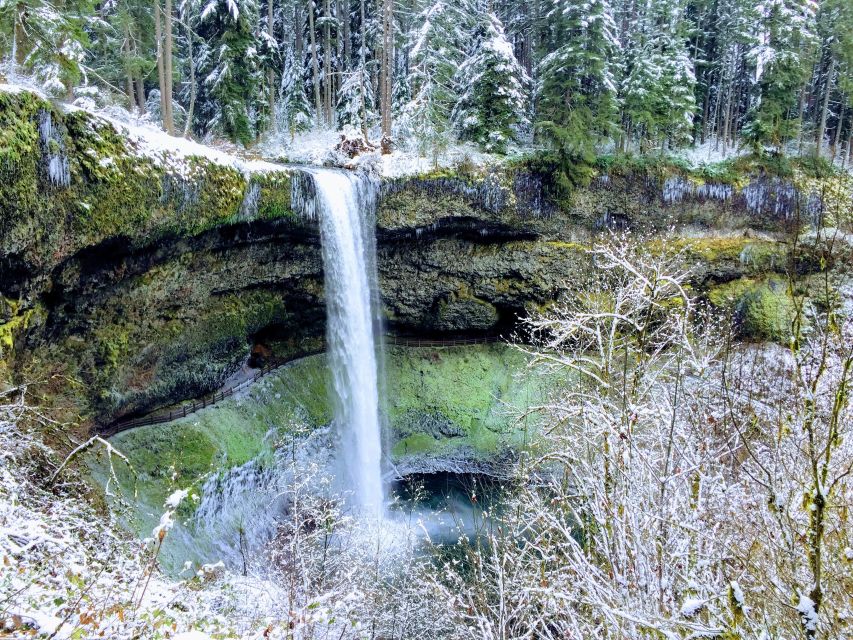Portland: Silver Falls Hike and Wine Tour - Silver Falls State Park