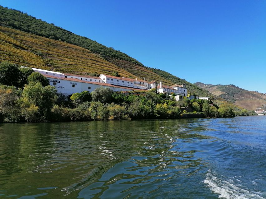 Porto: 2 Douro Valley Wineries Day Trip With River Cruise - Wine Tasting Experience