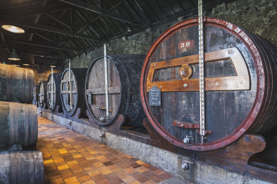 Porto: Burmester Cellar Tour With Tasting & Pairing Options - Tour Experience