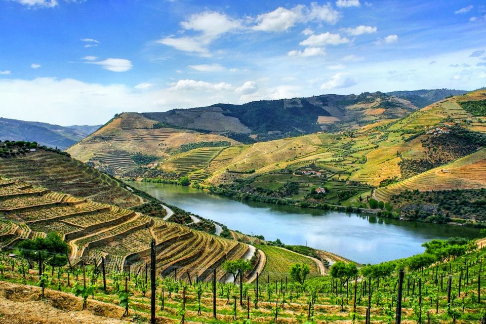 Porto: Douro Valley Tour With Wine Tasting, Lunch & Cruise - Tour Highlights