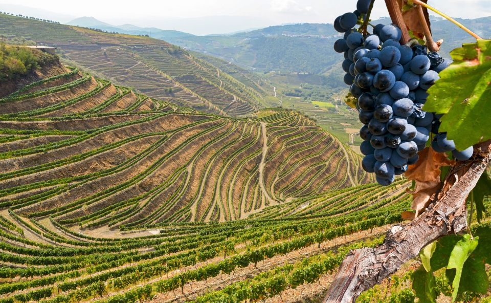 Porto: Douro Valley Trip With Lunch, Winery, and Boat Tour - Tour Highlights and Itinerary