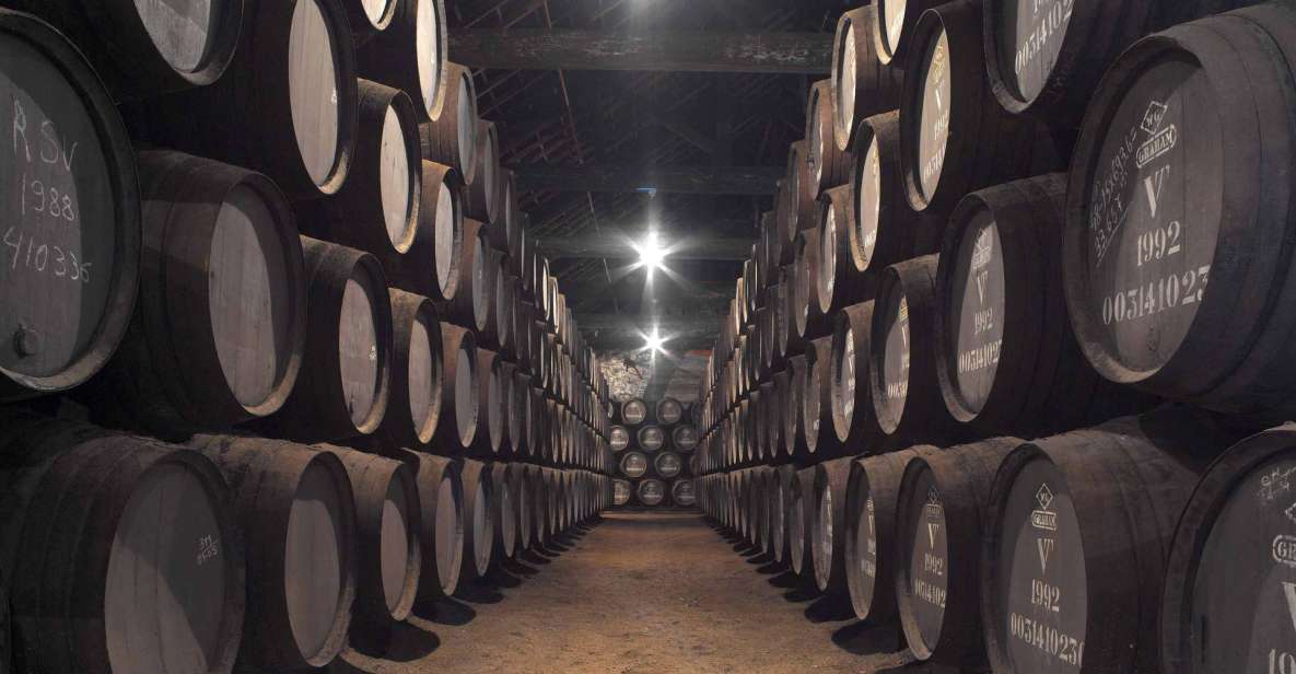 Porto: Graham's Port Lodge Tour With Premium Wine Tastings - Accessibility and Group Size