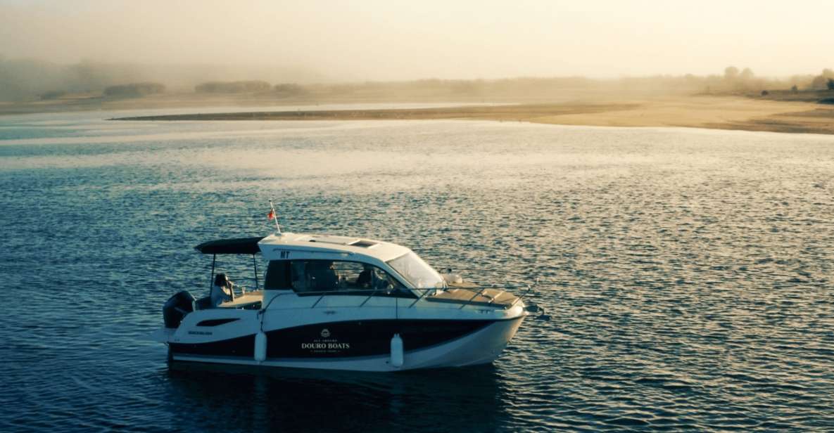 Porto: Private Boat Tour in Douro River - Experience Highlights