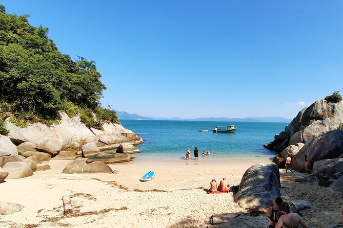 Praia Do Cação With Possible Sighting of Sea Lions by Zimbros Ecotour - Wildlife Encounter