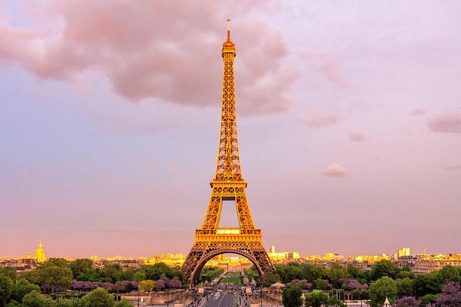 Pre-Booked Timed Eiffel Tower Ticket to 2nd Floor by Elevator - Customer Reviews