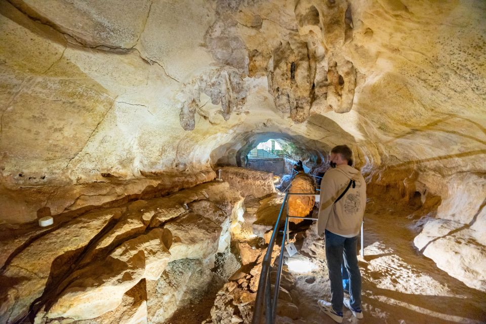 Prehistoric Temples of Malta Tour - Experience Highlights