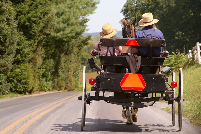 Premium Amish Country Tour Including Amish Farm and House - Inclusions and Amenities