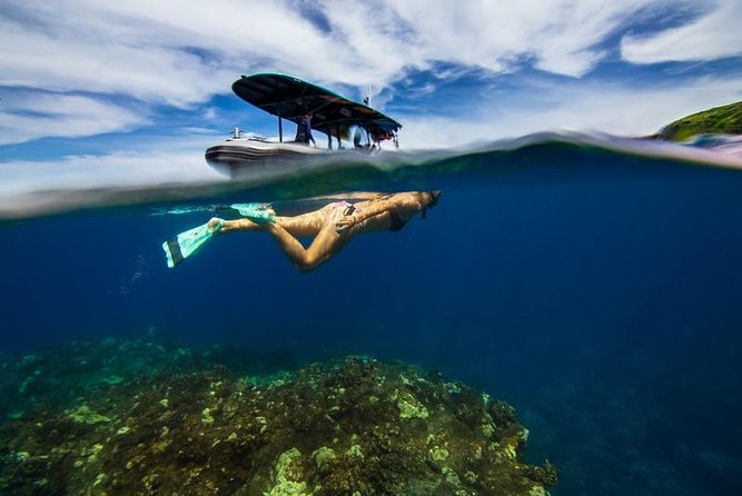 Premium Kona Coast Morning Snorkel - Customer Reviews and Ratings