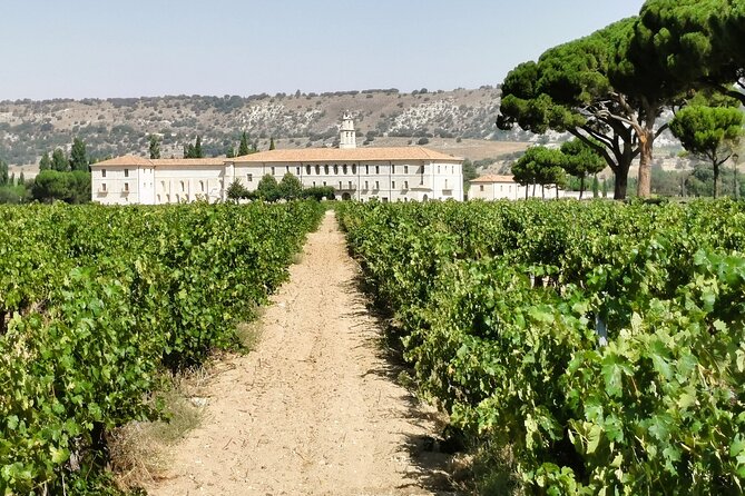 Premium Ribera Del Duero Tour With Winemaker-Guide - Exclusive Winery Visits