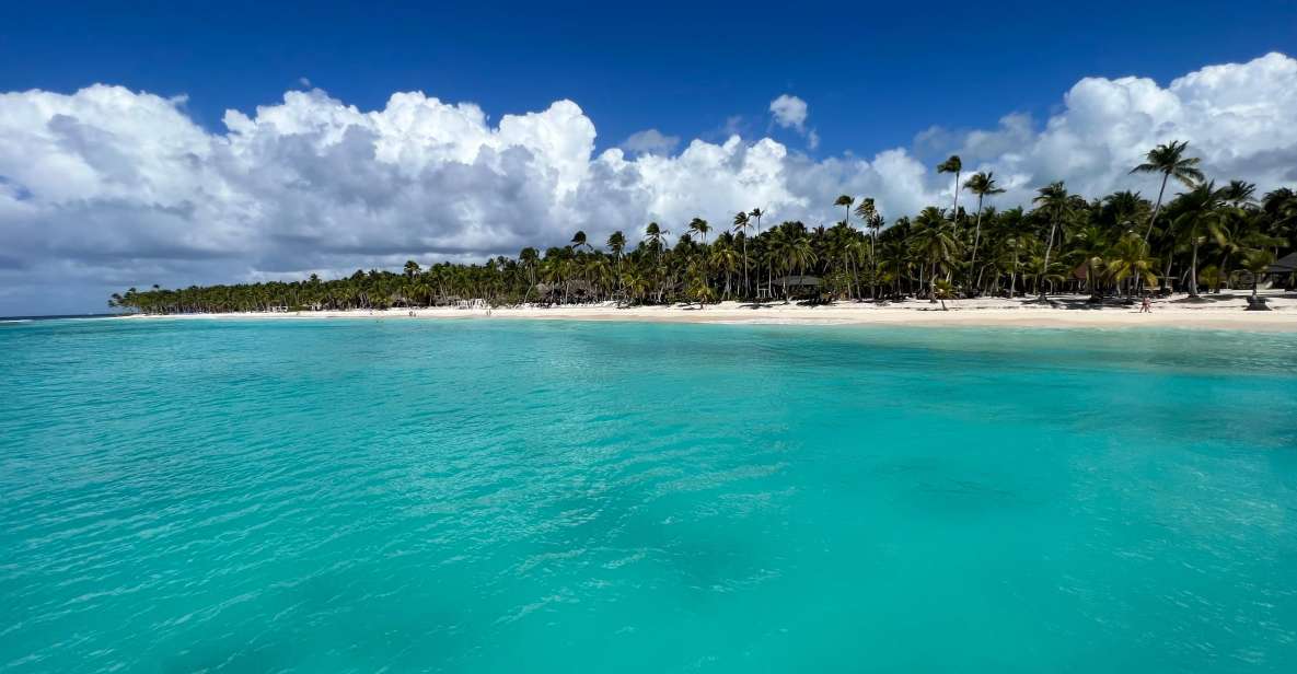 Premium Saona Island From Punta Cana - Tour Description