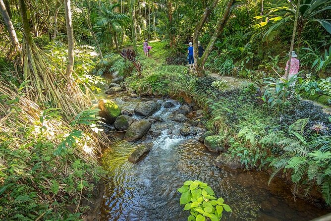 Princeville Botanical Gardens Tour and Chocolate Tasting Ticket - Cancellation Policy Details