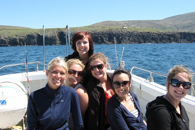 Private 1-Hour Guided Boat Tour in Dingle Peninsula - Meeting Point and Logistics