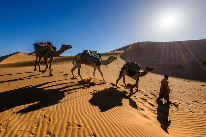 Private 2-Days Desert Tour From Marrakech to Mhamid Dunes Camel (All-Inclusive) - Detailed Itinerary Highlights