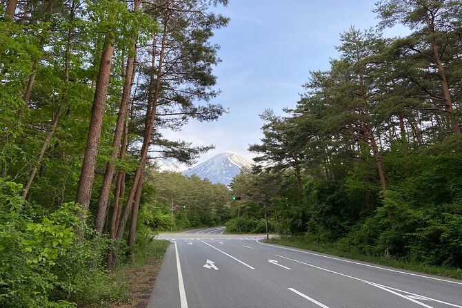Private 3-Hour Biking Adventure: Descend Mount Fuji  - Fujikawaguchiko-machi - Meeting Point and Guide