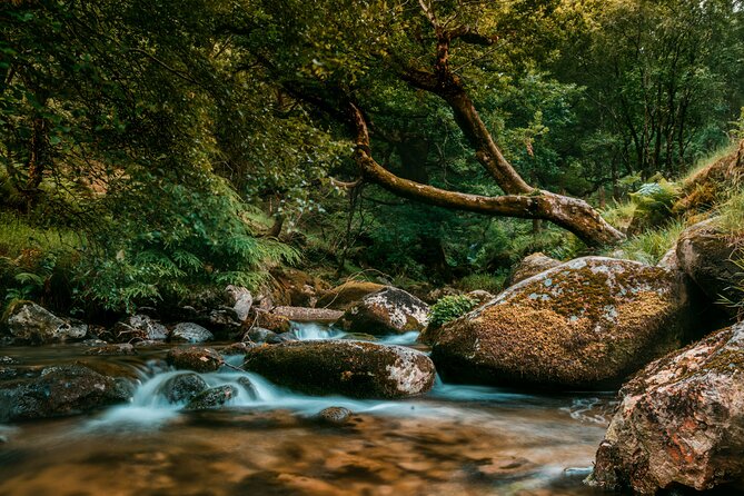 Private 8-Hour Tour to Glendalough and Wicklow From Dublin - Booking Information