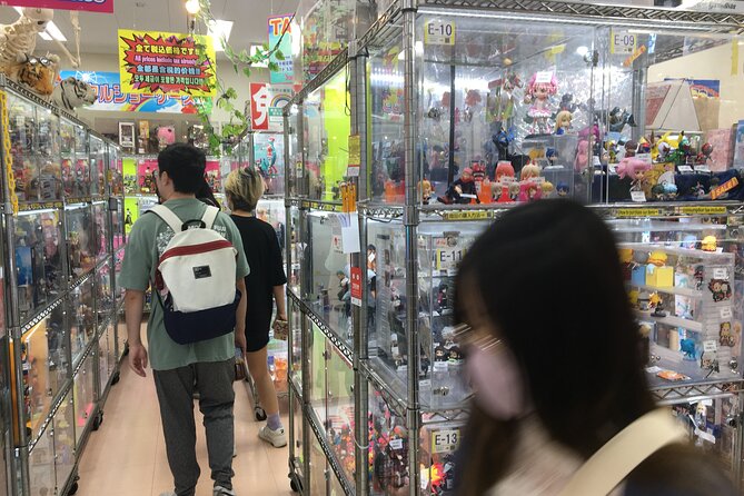 Private Akihabara Anime Guided Walking Tour - Review Summary