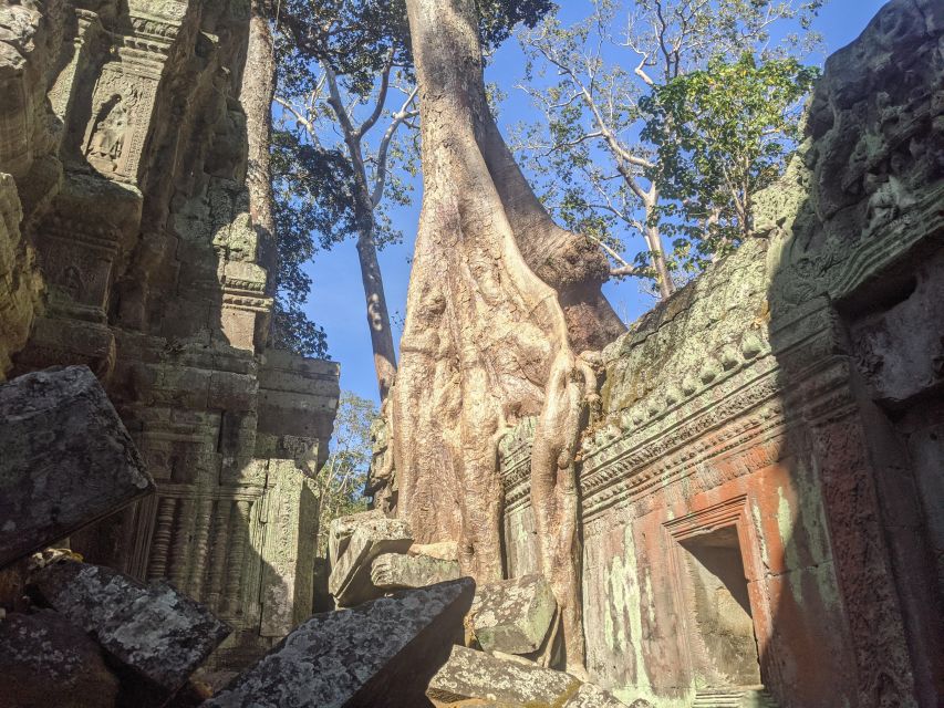 Private Angkor Wat Tour at Sunrise - Itinerary Highlights