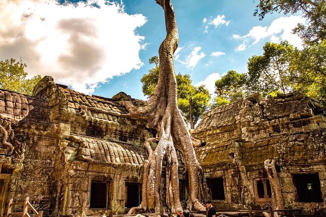 Private Angkor Wat Tour From Siem Reap - Guide Reviews and Ratings