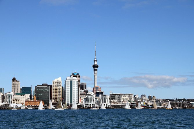 Private Auckland City Tour for Small Group in a Luxury Vehicle. - Flexible Cancellation Policy