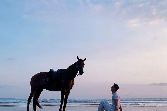 Private Bali Horse Riding In Seminyak Beach Limited Experiance - Inclusions and Logistics