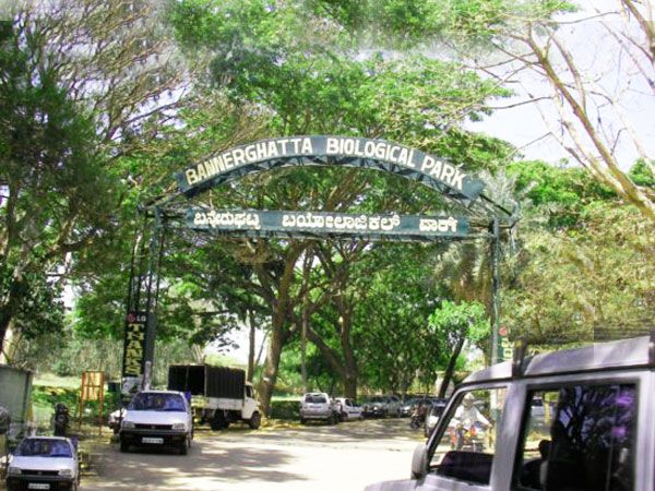 Private Bannerghatta National Park Day Excursion - Experience Highlights