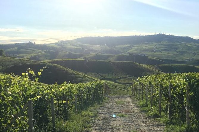 Private Barolo / Barbaresco - Piedmont Wine Tours and Tastings - Inclusions and Logistics