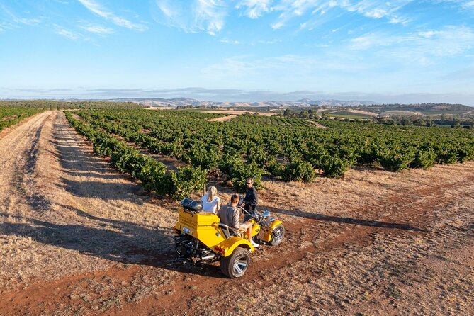 Private Barossas Best Sightseeing Tour for Two - Booking Options