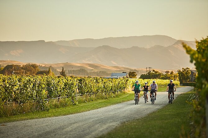 Private Biking Wine Tour (Full Day) in the Marlborough Region - Itinerary Overview