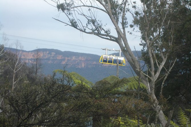 PRIVATE Blue Mountains 1 Day Tour With Wildlife Park & River Cruise - Value and Inclusions