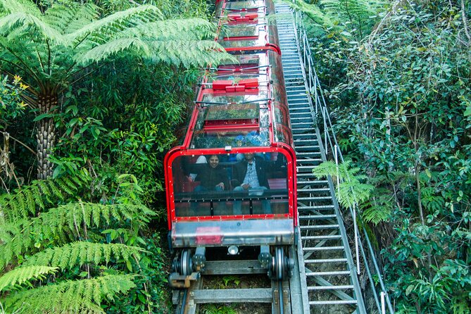 PRIVATE Blue Mountains & Scenic World Tour in a Luxury Car - Traveler Experience
