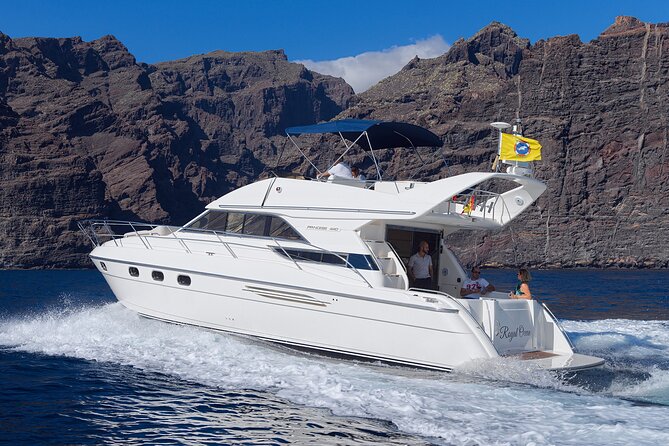 Private Boat Tour on Royal Ocean Yacht, Tenerife - Encounter Whales and Dolphins
