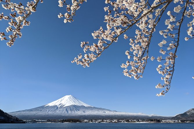 Private Car Tour to Mt. Fuji Lake Kawaguchiko or Hakone Lake Ashi - Cancellation Policy Details