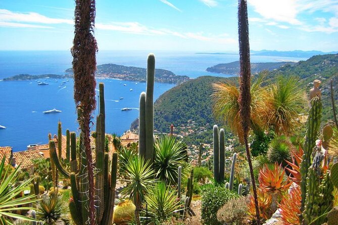 Private Customized French Riviera Tour From Port Villefranche 8H - Exceptional Service Offerings