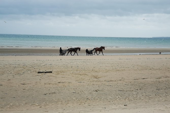 Private Day Tour Including Normandy Landing Beaches & Battlefields From Caen - Inclusions and Logistics