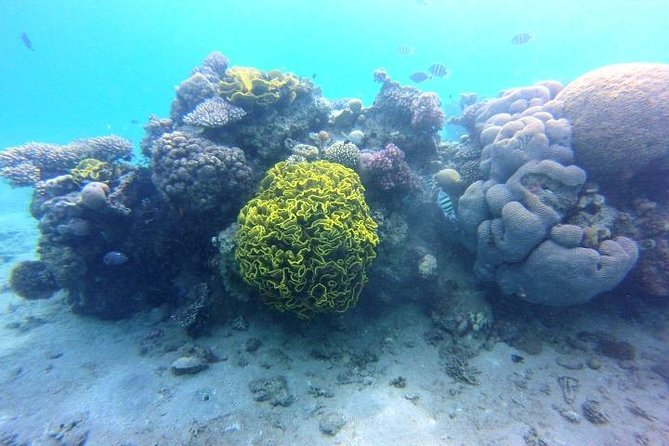 Private Day Tour: Indonesia Batam Island Reef Snorkel & Kayak From Singapore - Booking Terms and Conditions