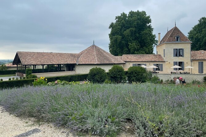 Private Day Tour to Saint-Emilion With Tasting - Tasting Experience